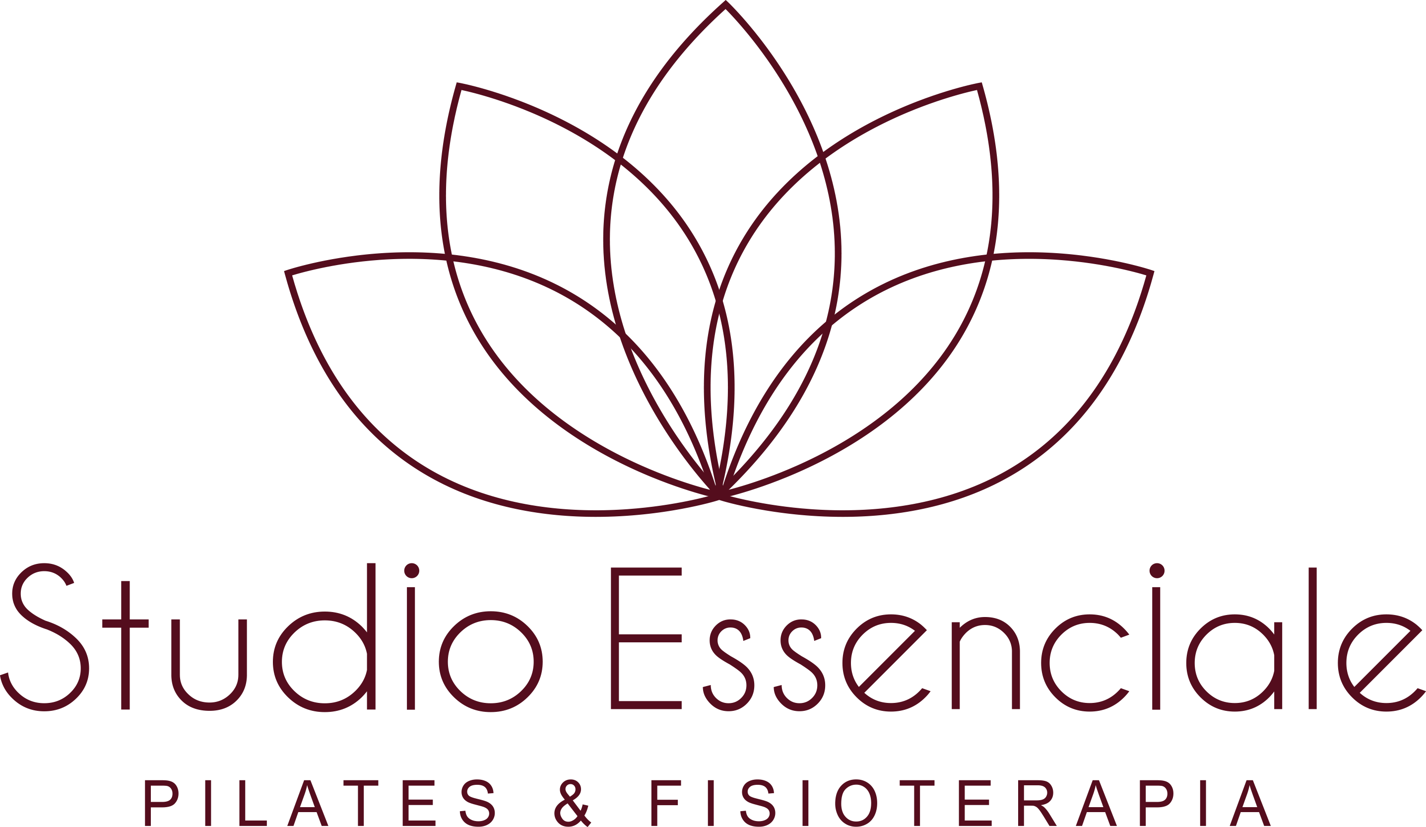 Studio Essenciale Logo